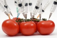 Genetic Modified (GM) Food/Organisms