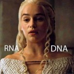 DNA RNA MEME