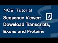 Sequence Viewer: Download Transcripts, Exons and Proteins