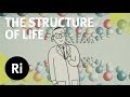 Celebrating Crystallography - An animated adventure