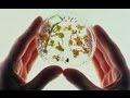 Biotechnology and the Future of Humanity (Full Documentary)