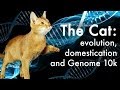 The Cat: evolution, domestication and Genome 10k